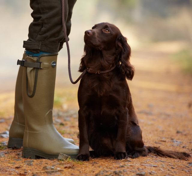 Walkies, Wellingtons, Waterproofs!