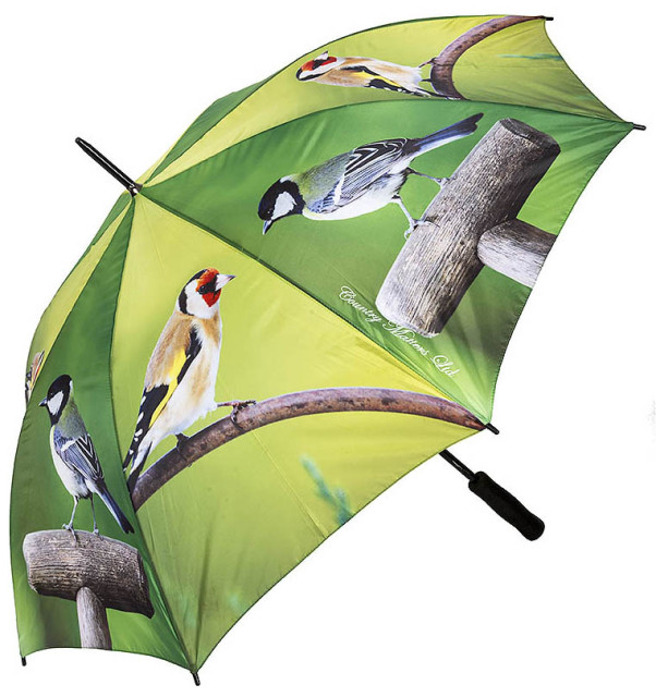 Drip, Drip, Drop Little April Showers