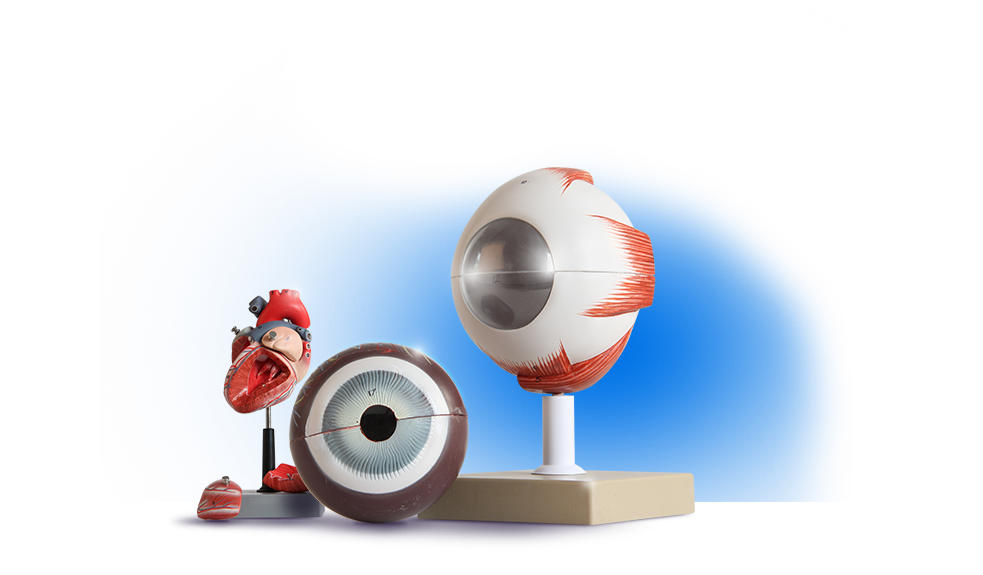 Scientific Lab Equipment and Lab Supplies Edulab