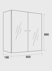 600 Double mirror wall unit