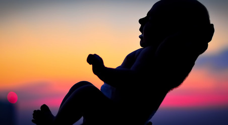 Freedom, Babies, John Paul II and Human Dignity Freedom, Babies, John Paul II and Human Dignity