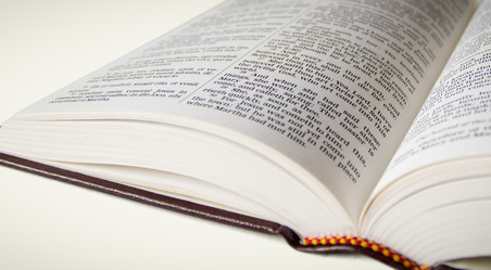 Why The Bible? Why The Bible?