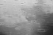 rain in puddle Rain in puddle