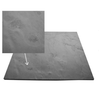 slate-image-1