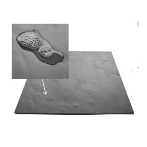 slate-image-2