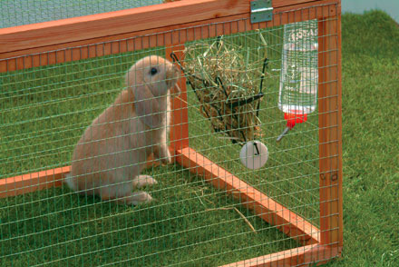 rabbit-diet