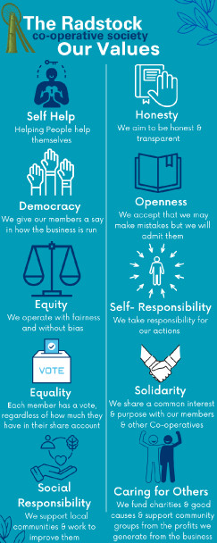 Our Values Infographic