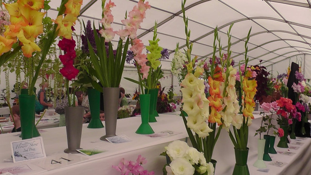 Timsbury 4- Clutton Annual Village Flower Show- 13.08.22