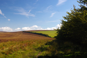 Two Moors Way