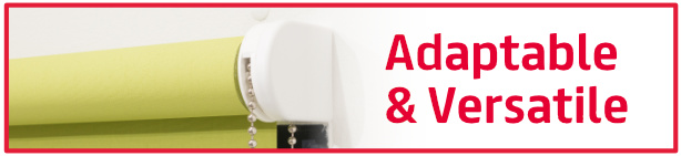 R20: Adaptable and Versatile