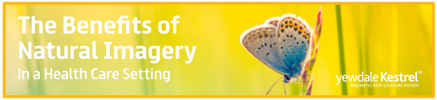 The Benefits of Natural Imagery in a Health Care Setting